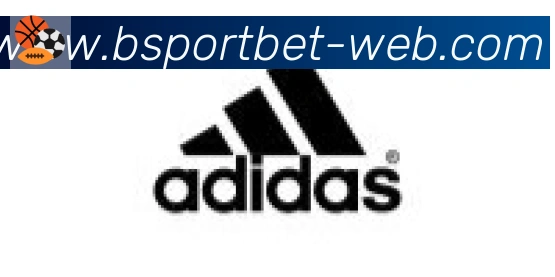 Bsports官网合作伙伴